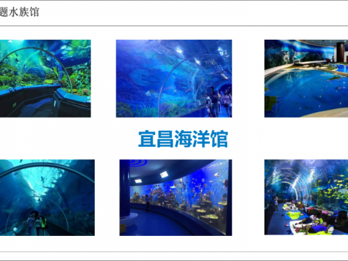 主题海洋馆