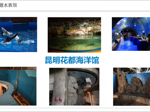 主题海洋馆