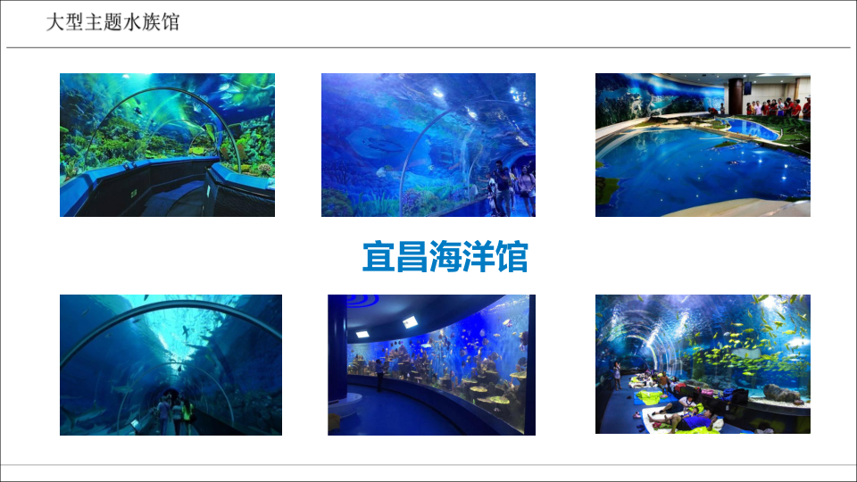 主题海洋馆